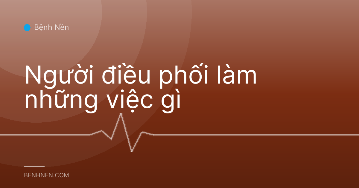Người điều phối làm những việc gì